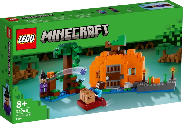21248