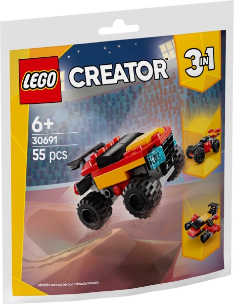 30691