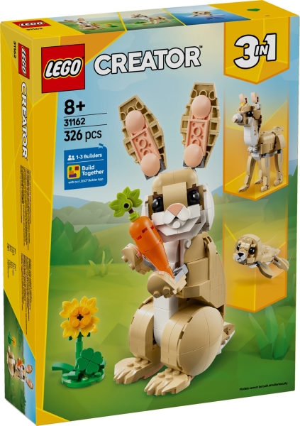 31162