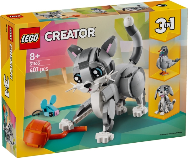 31163