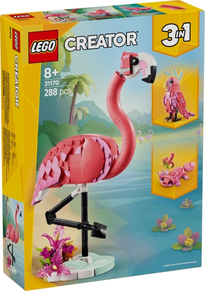 31170