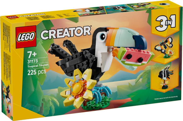 31173