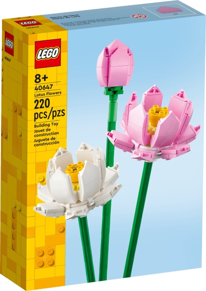 40647