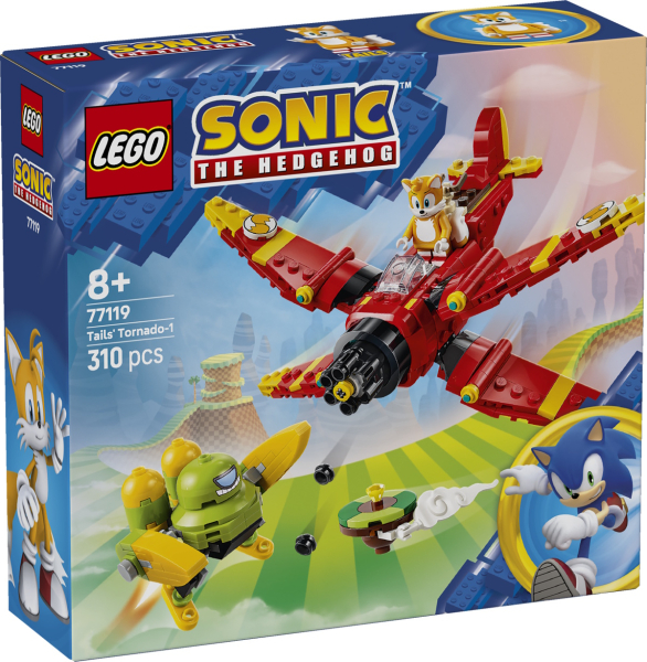 77119